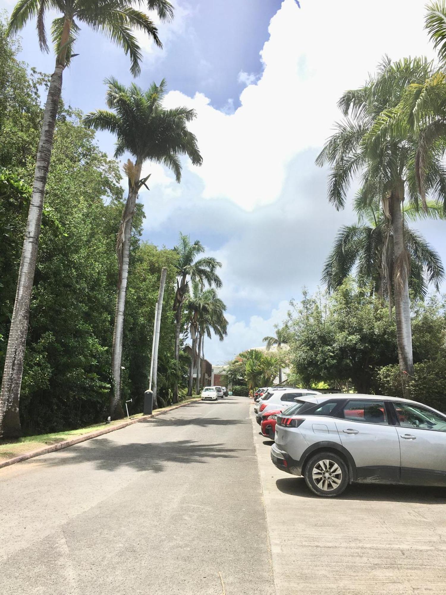 Appartement St Francois Manganao Guadeloupe Saint-Francois  Eksteriør bilde